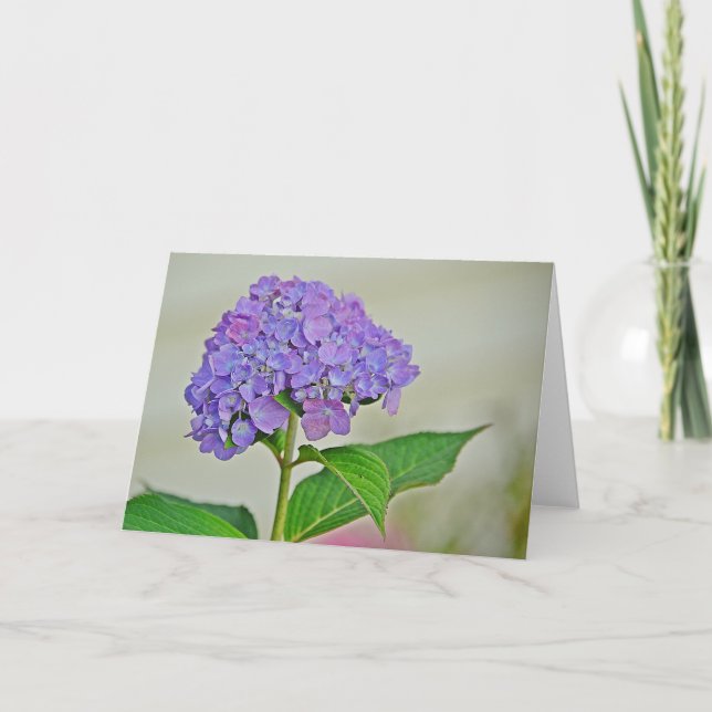 Hydrangea Note Card (Front)