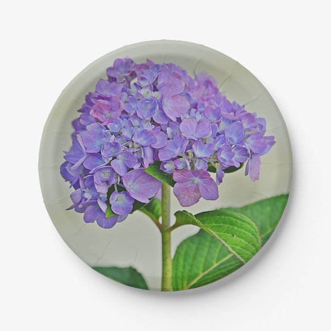 Hydrangea Paper Plate (Front)