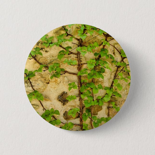 Hydrangea petiolaris Badge 2 Inch Round Button (Front)