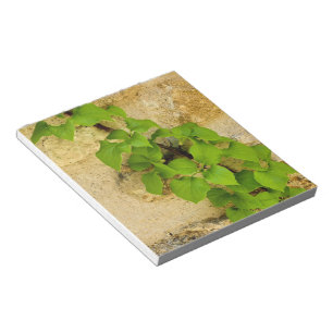 Hydrangea petiolaris notepad