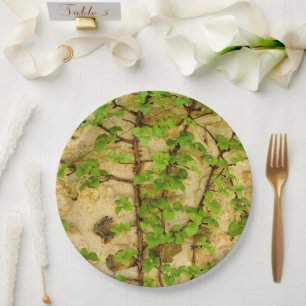 Hydrangea petiolaris Paper Plate
