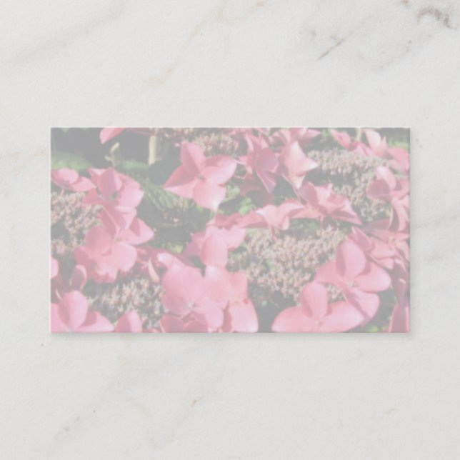 Hydrangea. Pink flowers. Soft Pastel Colours. Business Card (Front)