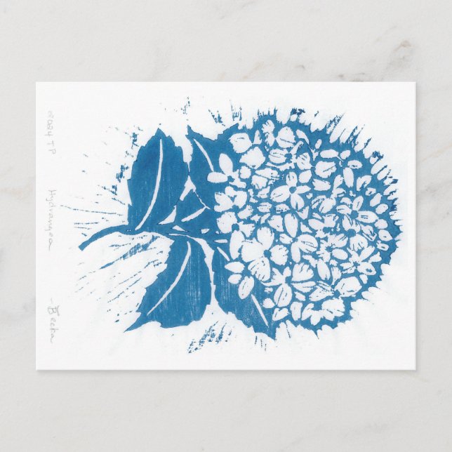 Hydrangea postcard (Front)
