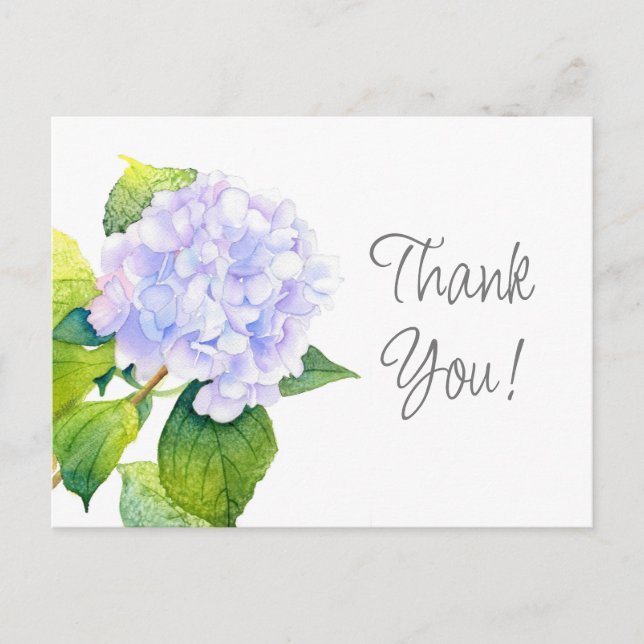 Hydrangea Postcard (Front)