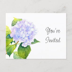 Hydrangea Postcard