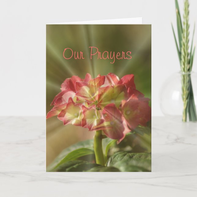 Hydrangea Prayer card or any occasion (Front)