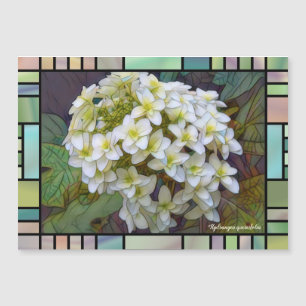 Hydrangea quercifolia [Magnet Card]