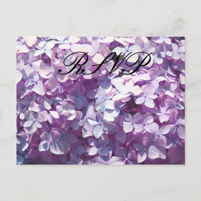 Hydrangea, RSVP Invitation Postcard (Front)