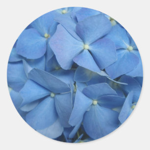 Hydrangea Sticker