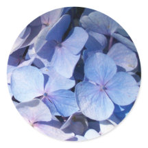 Hydrangea Sticker