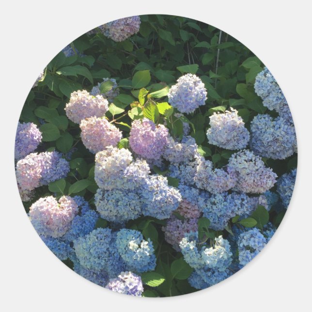 Hydrangea Stickers Envelope Seals with Flowers (Front)