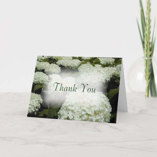 Hydrangea Thank You Card (Front)