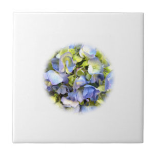 Hydrangea Tile