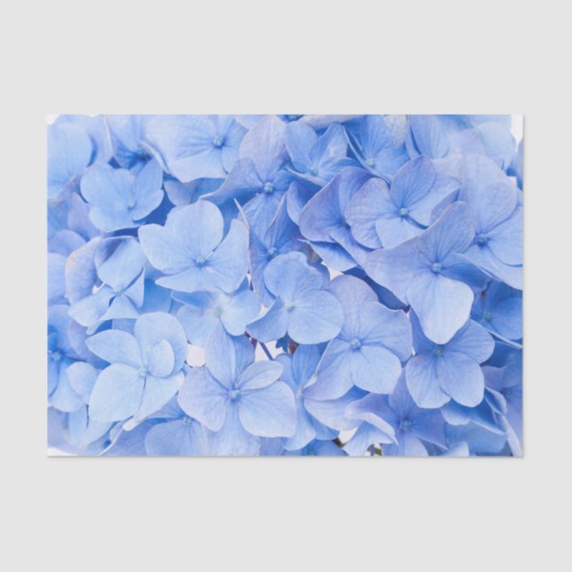 Hydrangea Tissue Paper (Front)