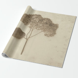 Hydrangea Vintage Antique Sepia Rustic Floral Wrapping Paper