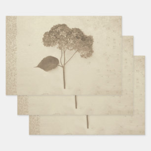 Hydrangea Vintage Antique Sepia Rustic Floral Wrapping Paper Sheet