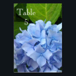 Hydrangea Wedding collection Table Number<br><div class="desc">Elegant photo from my garden of my blue Hydrangeas</div>