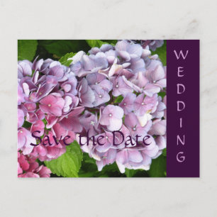 Hydrangea Wedding Save the Date Postcard