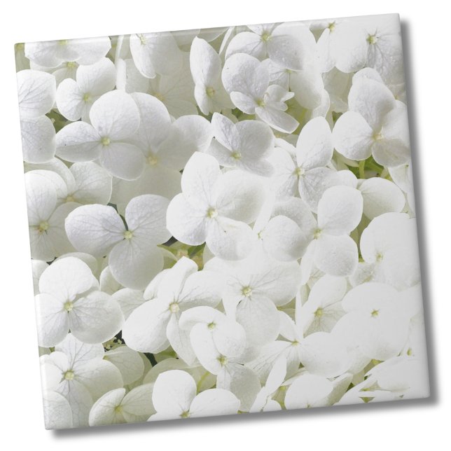 Hydrangea White Floral Pattern Tile (Simple Elegant White Hydrangea Flower Floral Ceramic Tile)