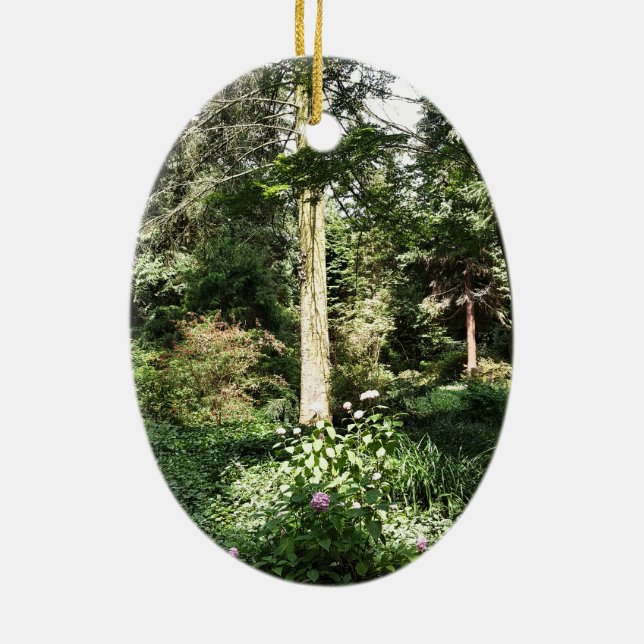 Hydrangea Wood Trees Nature Photography Ceramic Ornament (Back)