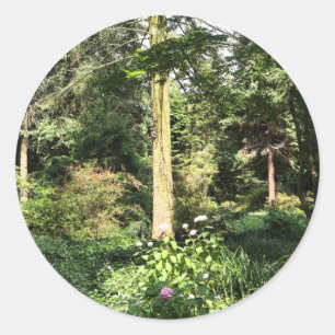 Hydrangea Wood Trees Nature Photography Classic Round Sticker