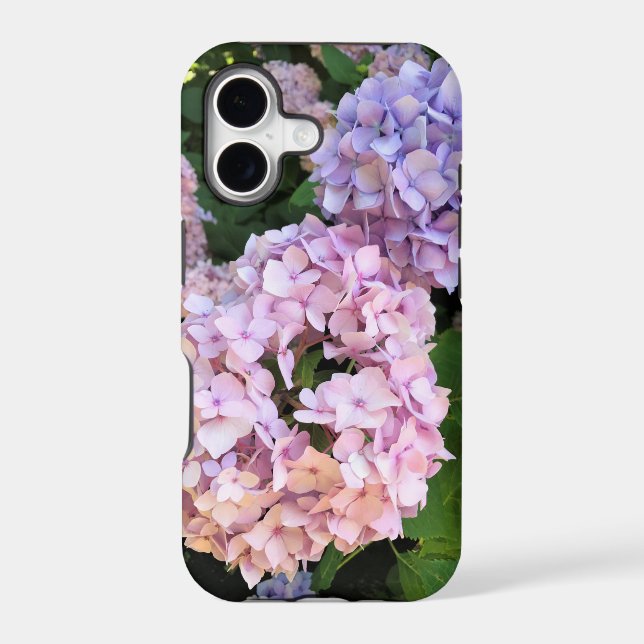 Hydrangeas  (Back)