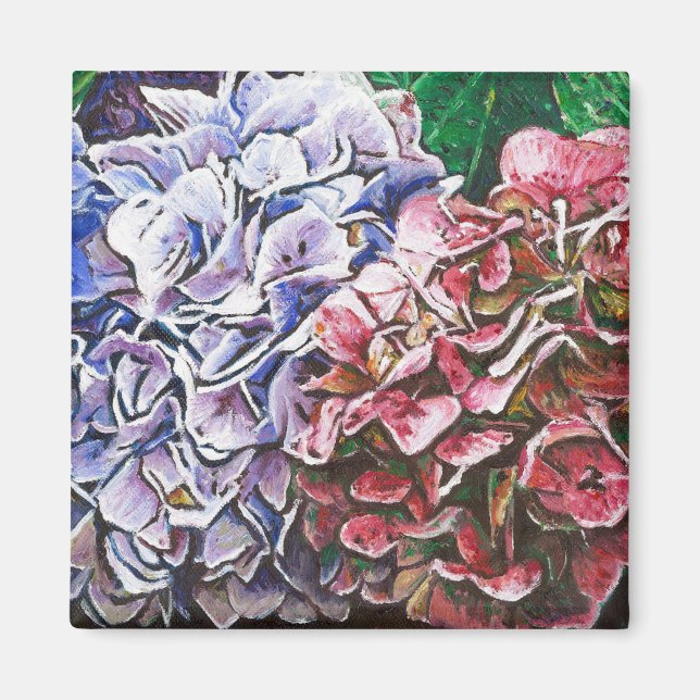 Hydrangeas 2010 magnet (Front)
