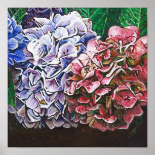 Hydrangeas 2010 poster