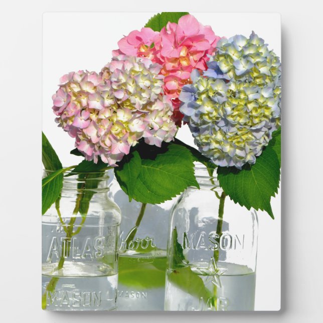hydrangeas and mason jar plaque (Front)