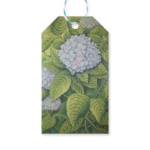 Hydrangeas at Lanhydrock, Cornwall in Pastel
