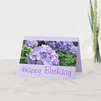 Hydrangeas at Trebah Gardens, Cornwall Card