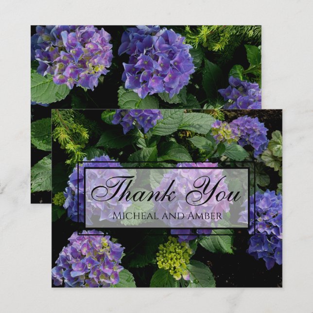 Hydrangeas blue purple floral flower garden thank you card (Front/Back)