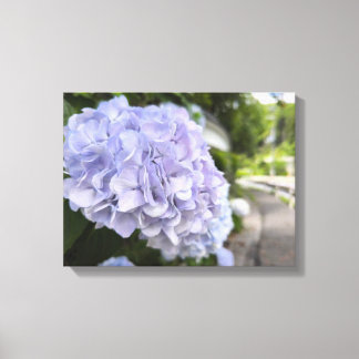 Hydrangeas by the Roadside – Nature Photography Canvas Print