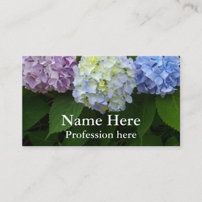 Hydrangeas - carte de visite (Devant)