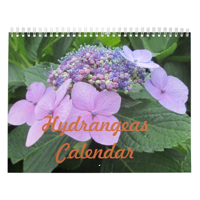 Hydrangeas Customizable Flower Calendar (Cover)
