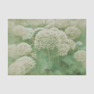 Hydrangeas Floral Green White Textured Vintage Tissue Paper