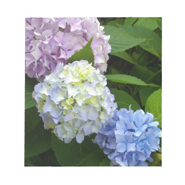 Hydrangeas Notepad (Front)