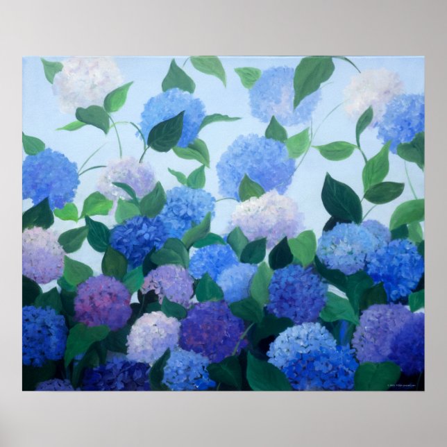 Hydrangeas Print (Front)