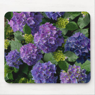 Hydrangeas    romantic pink blue purple floral   mouse pad