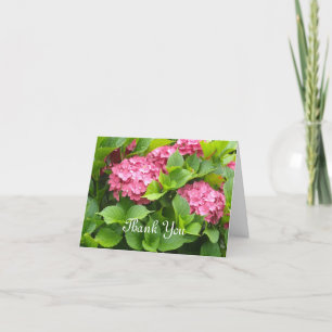 Hydrangeas Rose Foncé Merci