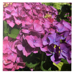 Hydrangeas Tile