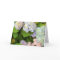 Hydrangeas Watercolor Greeting Card