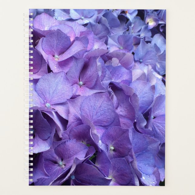 Hydrangée violette Florale (Devant)