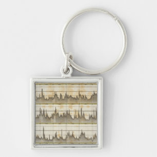 Hydro historical overview of state Elbe River Keychain
