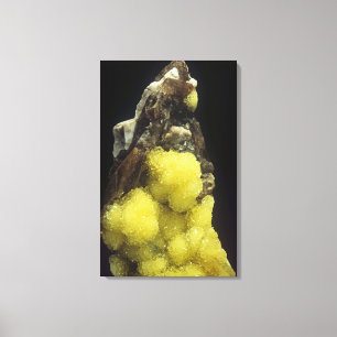 Hydroboracite on Gorgeyite, Kazakhstan Canvas Print