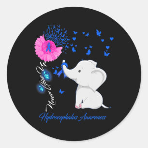 Hydrocephalus Awareness - Hydrocephalus Ribbon  Classic Round Sticker