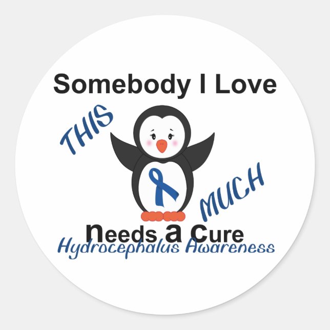 Hydrocephalus Awareness Someone I Love Classic Round Sticker (Front)