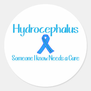 Hydrocephalus Classic Round Sticker