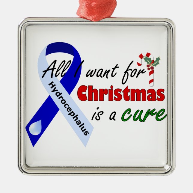 Hydrocephalus Cure Christmas Ornament (Front)