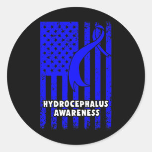 Hydrocephalus Survivor Enduring Awareness Warrior Classic Round Sticker
